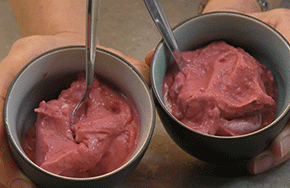 aardbeien ijs in Thermomix