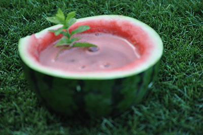 watermeloen-munt badje Thermomix