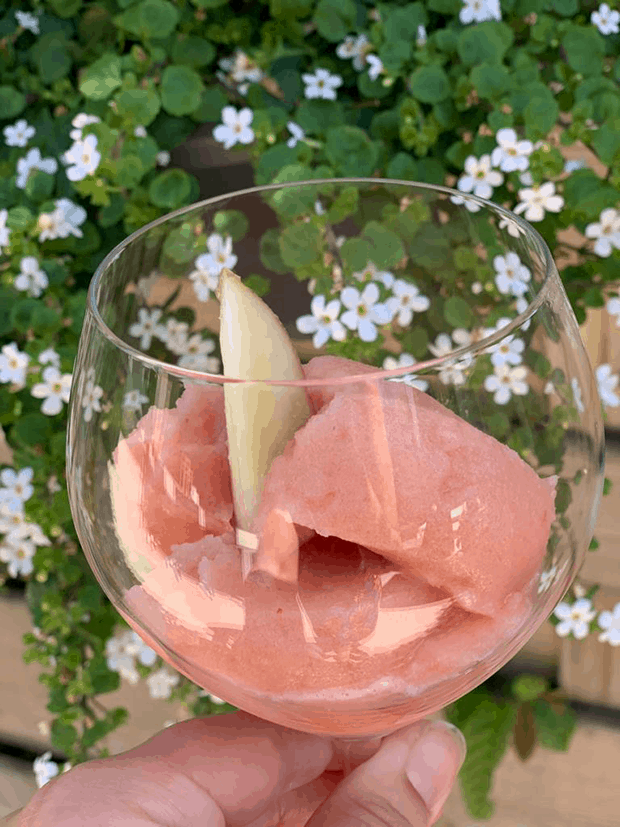 watermeloen nectarines sorbet met roze schuimwijn in de Thermomix